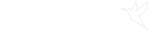Travews Official Logo